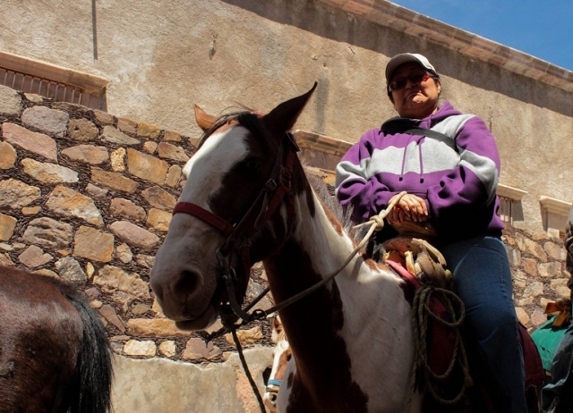 Paseos a caballo